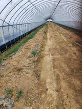 김저팔계님의 작성글 사진