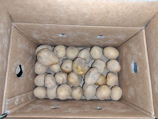 조영기님의 기타작물 · 영농일지 작성글 사진