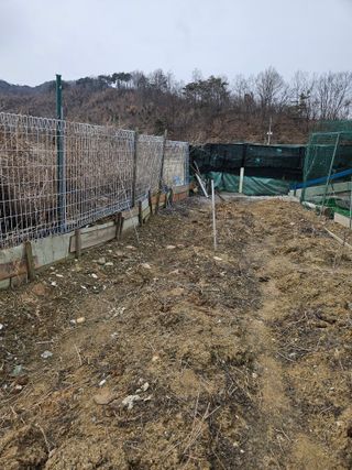 류대균님의 기타작물 · 영농일지 작성글 사진