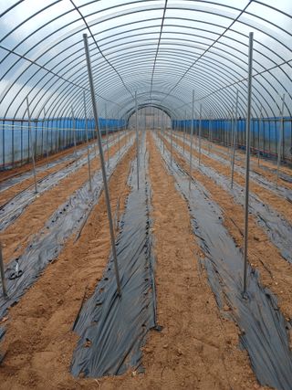 김영경님의 기타작물 · 영농일지 작성글 사진