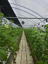 김호진님의 작성글 사진