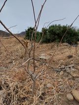 최정윤님의 작성글 사진