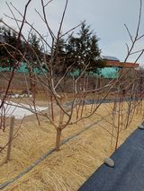 최정윤님의 작성글 사진