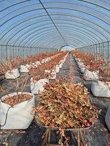 박영희님의 작성글 사진