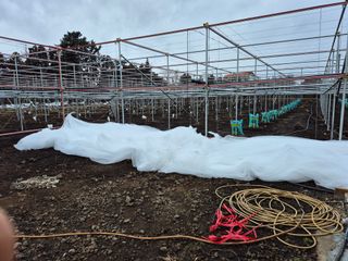 송창언님의 기타작물 · 영농일지 작성글 사진