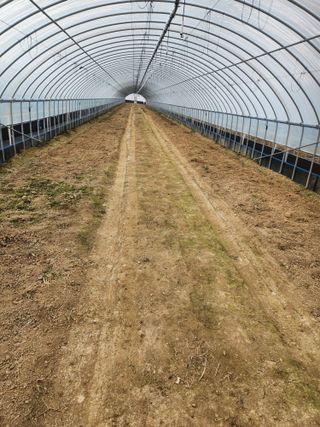 김저팔계님의 파 · 영농일지 작성글 사진