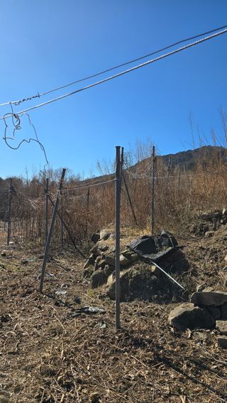 달빛소년(김광순)님의 기타작물 · 영농일지 작성글 사진