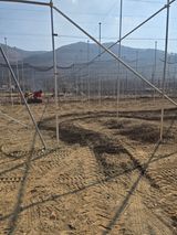 팜모닝 사과·영농일지 게시글 이미지