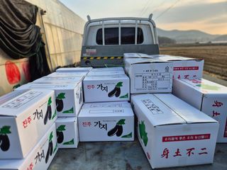 늘햇살팜 님의 기타작물 · 영농일지 작성글 사진