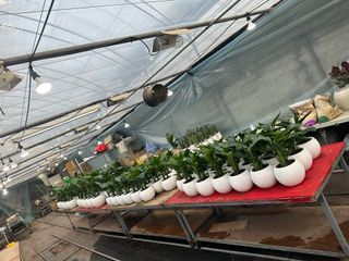 두릅나무15847님의 기타작물 · 영농일지 작성글 사진