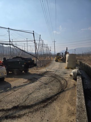 홍1237님의 사과 · 영농일지 작성글 사진