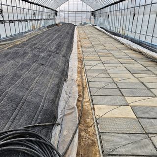 곽희동님의 고추 · 영농일지 작성글 사진