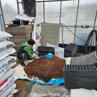 곽희동님의 고추 · 영농일지 작성글 사진