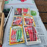 팜모닝 고추·영농일지 게시글 이미지