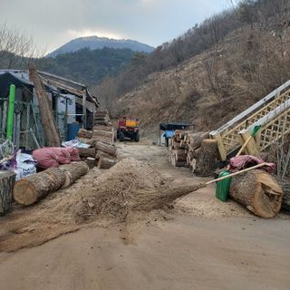 가로수님의 기타작물 · 영농일지 작성글 사진