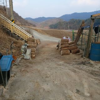 가로수님의 기타작물 · 영농일지 작성글 사진