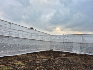 송창언님의 기타작물 · 영농일지 작성글 사진