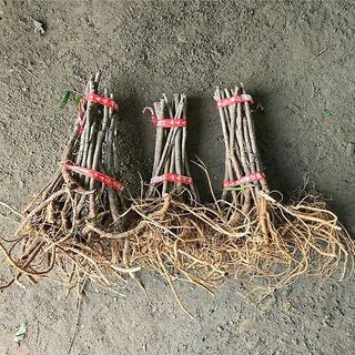 이순기님의 작성글 사진