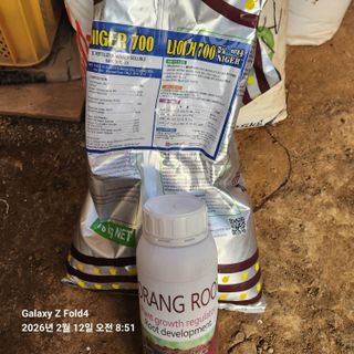 김성훈님의 기타작물 · 영농일지 작성글 사진