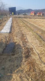 최춘득 청대산 님의 작성글 사진