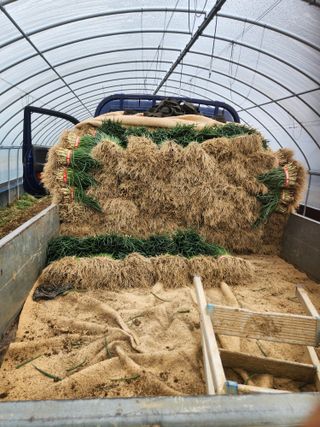 김저팔계님의 파 · 영농일지 작성글 사진