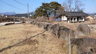 금원산농장님의 벼 · 영농일지 작성글 사진