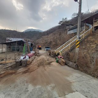 가로수님의 기타작물 · 영농일지 작성글 사진