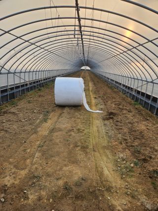 김저팔계님의 파 · 영농일지 작성글 사진