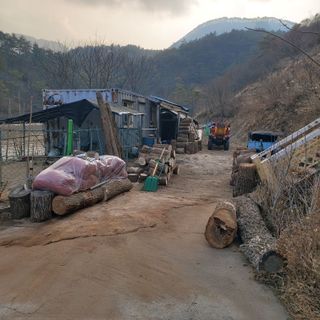 가로수님의 기타작물 · 영농일지 작성글 사진