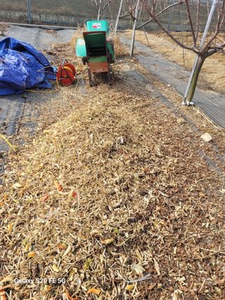 조상연님의 기타작물 · 영농일지 작성글 사진