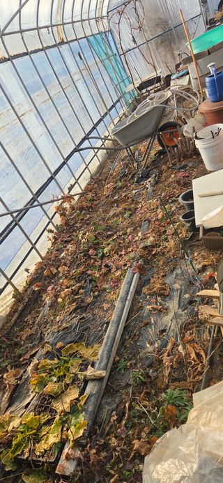 김성필님의 기타작물 · 영농일지 작성글 사진