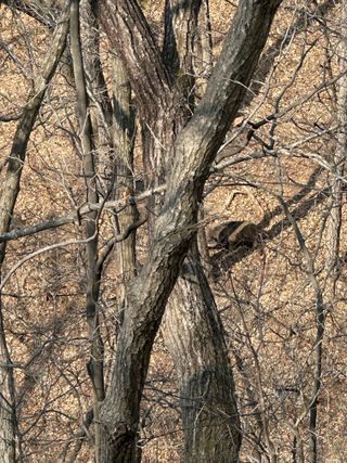 이익수님의 기타작물 · 영농일지 작성글 사진