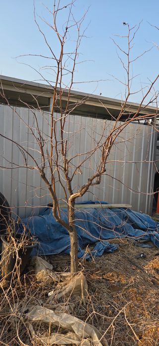 김성필님의 기타작물 · 영농일지 작성글 사진