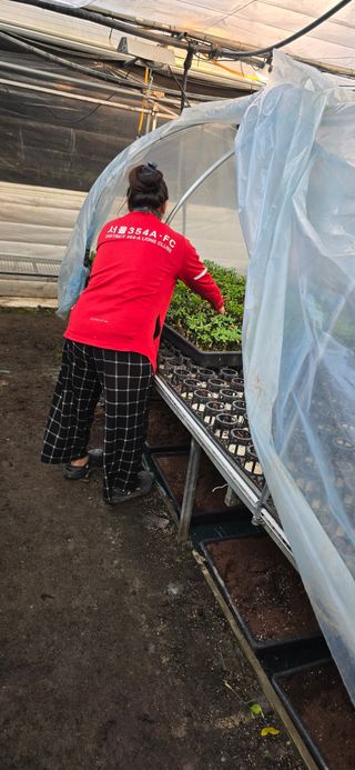 두릅나무15847님의 기타작물 · 영농일지 작성글 사진