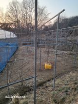 팜모닝 기타작물·영농일지 게시글 이미지