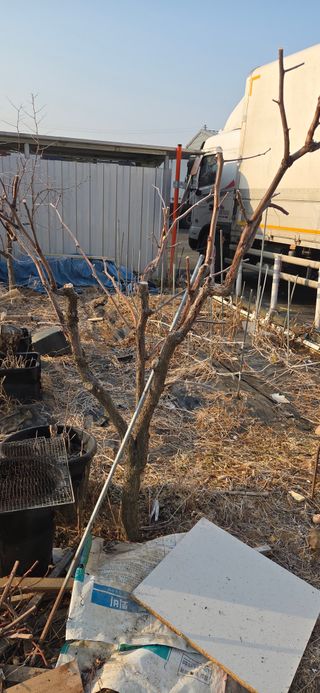 김성필님의 기타작물 · 영농일지 작성글 사진