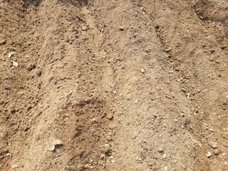 김춘성님의 기타작물 · 영농일지 작성글 사진