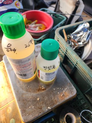 배종규님의 딸기 · 영농일지 작성글 사진