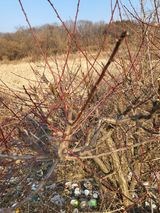 최병우님의 작성글 사진