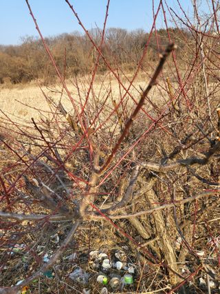 최병우님의 벼 · 영농일지 작성글 사진