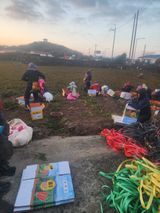 팜모닝 기타작물·영농일지 게시글 이미지