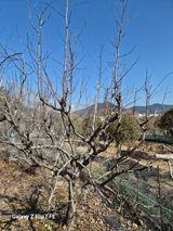 덕포킴님의 작성글 사진