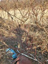 팜모닝 벼·영농일지 게시글 이미지