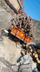 팜모닝 기타작물·영농일지 게시글 이미지