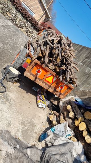 김동명님의 기타작물 · 영농일지 작성글 사진