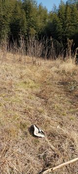 팜모닝 기타작물·영농일지 게시글 이미지