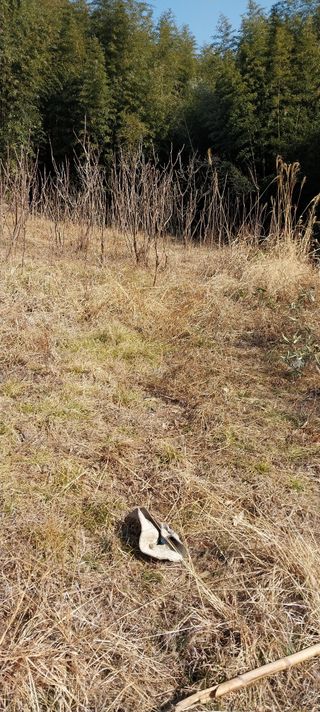 양지뜸갈비박재식님의 기타작물 · 영농일지 작성글 사진