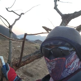 대운농원님의 기타작물 · 영농일지 작성글 사진