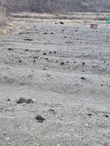 팜모닝 기타작물·영농일지 게시글 이미지