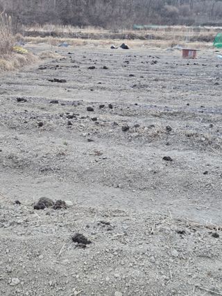 박현미님의 기타작물 · 영농일지 작성글 사진